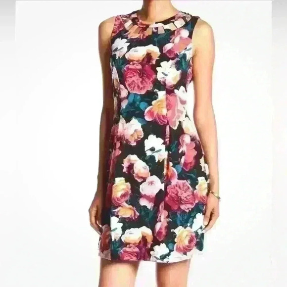Eliza J Black Floral Romantic Feminine Dress - Picture 1 of 13